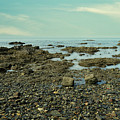 Seascape-1-6